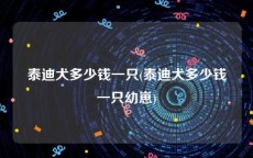 泰迪犬多少钱一只(泰迪犬多少钱一只幼崽)