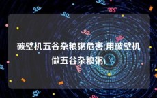 破壁机五谷杂粮粥危害(用破壁机做五谷杂粮粥)