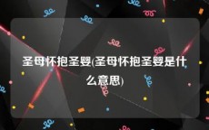 圣母怀抱圣婴(圣母怀抱圣婴是什么意思)