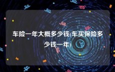 车险一年大概多少钱(车买保险多少钱一年)
