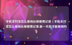 手机支付宝怎么查询社保缴费记录〈手机支付宝怎么查询社保缴费记录,是一天后才能查询吗〉