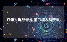 白领人群数量(中国白领人群数量)