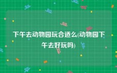 下午去动物园玩合适么(动物园下午去好玩吗)