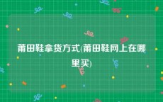 莆田鞋拿货方式(莆田鞋网上在哪里买)