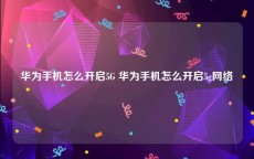 华为手机怎么开启5G 华为手机怎么开启5g网络