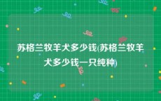 苏格兰牧羊犬多少钱(苏格兰牧羊犬多少钱一只纯种)