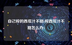 自己榨的西瓜汁不甜(榨西瓜汁不甜怎么办)