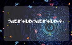 伤感短句扎心(伤感短句扎心6字)