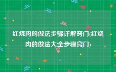红烧肉的做法步骤详解窍门(红烧肉的做法大全步骤窍门)