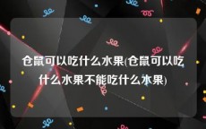仓鼠可以吃什么水果(仓鼠可以吃什么水果不能吃什么水果)
