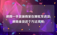 微商一手货源商家在哪批发进货(微商拿货这个方法实用)