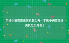 手机中病毒无法关机怎么办〈手机中病毒无法关机怎么办呢〉