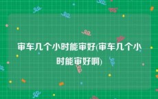 审车几个小时能审好(审车几个小时能审好啊)