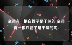 空调有一根白管子是干嘛的(空调有一根白管子是干嘛的呢)