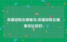 卖莆田鞋在哪里买(卖莆田鞋在哪里买比较好)