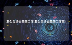 怎么合法去美国工作(怎么合法去美国工作呢)