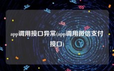 app调用接口异常(app调用微信支付接口)