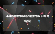 不带驾照罚款吗(驾照罚款去哪里缴费)