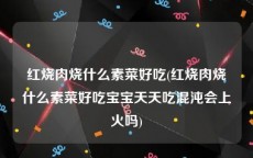 红烧肉烧什么素菜好吃(红烧肉烧什么素菜好吃宝宝天天吃混沌会上火吗)