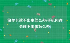 储存卡读不出来怎么办(手机内存卡读不出来怎么办)