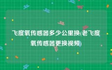 飞度氧传感器多少公里换(老飞度氧传感器更换视频)