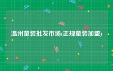 温州童装批发市场(正规童装加盟)