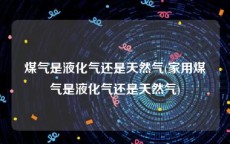 煤气是液化气还是天然气(家用煤气是液化气还是天然气)