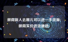 微商新人去哪儿可以进一手货源(微商实价进货通道)