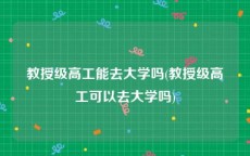 教授级高工能去大学吗(教授级高工可以去大学吗)