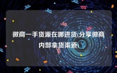 微商一手货源在哪进货(分享微商内部拿货渠道)
