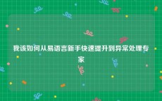 我该如何从易语言新手快速提升到异常处理专家