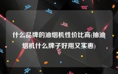 什么品牌的油烟机性价比高(抽油烟机什么牌子好用又实惠)