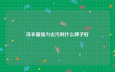 洗衣服强力去污剂什么牌子好