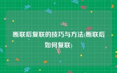 断联后复联的技巧与方法(断联后如何复联)