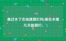 姜过水了会加速腐烂吗(姜在水里几天能腐烂)