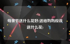 母亲节送什么花好(送给妈妈应该送什么花)