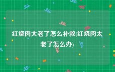 红烧肉太老了怎么补救(红烧肉太老了怎么办)