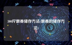 300斤嫩姜储存方法(嫩姜的储存方法)