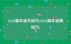 12123新车选号技巧(12123新车选牌技巧)