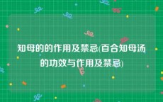 知母的的作用及禁忌(百合知母汤的功效与作用及禁忌)