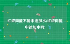 红烧肉能不能中途加水(红烧肉能中途加水吗)