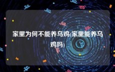 家里为何不能养乌鸡(家里能养乌鸡吗)