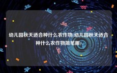 幼儿园秋天适合种什么农作物(幼儿园秋天适合种什么农作物简笔画)