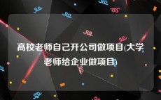 高校老师自己开公司做项目(大学老师给企业做项目)