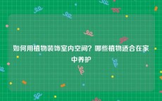 如何用植物装饰室内空间？哪些植物适合在家中养护