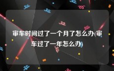 审车时间过了一个月了怎么办(审车过了一年怎么办)