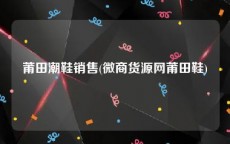 莆田潮鞋销售(微商货源网莆田鞋)
