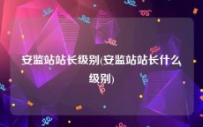 安监站站长级别(安监站站长什么级别)