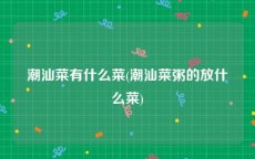 潮汕菜有什么菜(潮汕菜粥的放什么菜)