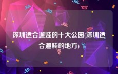 深圳适合遛娃的十大公园(深圳适合遛娃的地方)